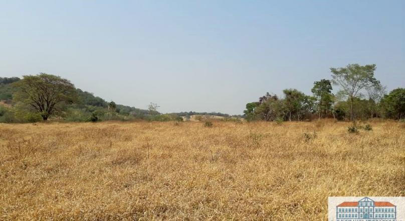 Unmissable, sale of four plots of land close to Pirenópolis