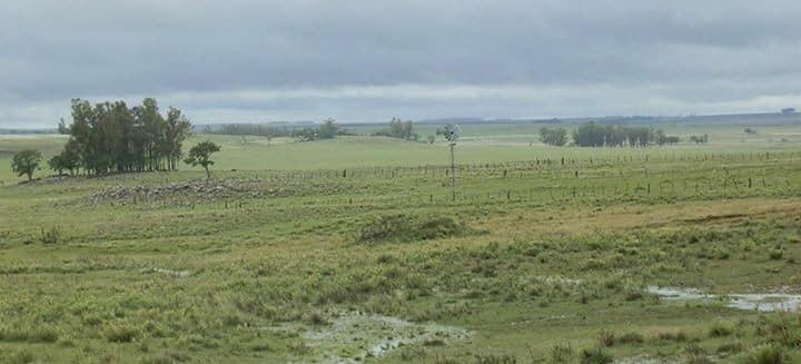 REAL ESTATE BUSINESS OPPORTUNITY IN URUGUAY