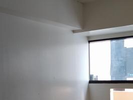 BSA Twin Towers, Julia Vargas, corner Bank Dr, Ortigas Center