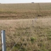 FIELD DEPARTMENT ARTIGAS cattle breeder good breeder