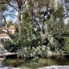 Felanitx. A finca. A residence. A natural oasis.