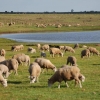 REAL ESTATE BUSINESS OPPORTUNITY IN URUGUAY
