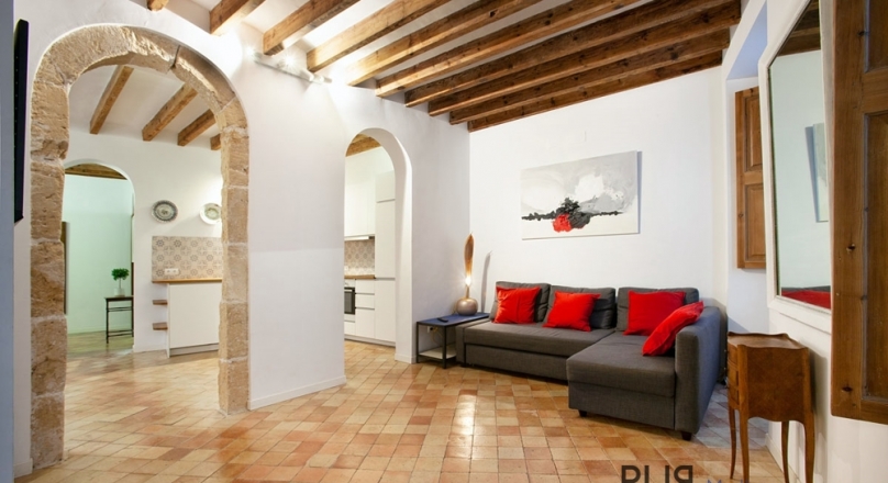 Palma. Old town. In the middle. Apartment with roof terrace and sea view.