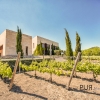 One and only. Finca. Own vineyard. And a lot of light. Generosity. Clarity.