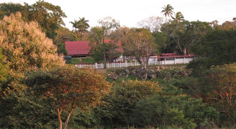 LIVESTOCK FARM FOR SALE OF 4,460 HECTARES