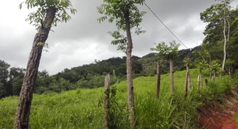 I sell property in Maquenco de Nicoya, 21 hectares with 3 eyes of water
