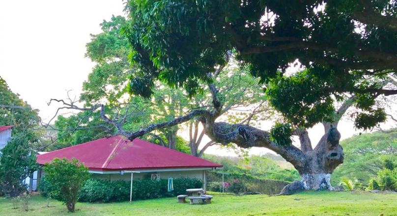 LIVESTOCK FARM FOR SALE OF 4,460 HECTARES