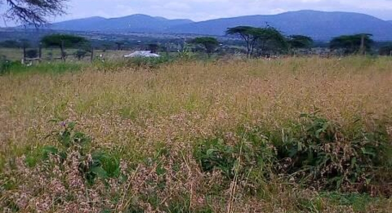 Am selling 5 acres in Kajiado. Own title block