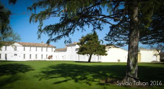 CASTLE FOR SALE