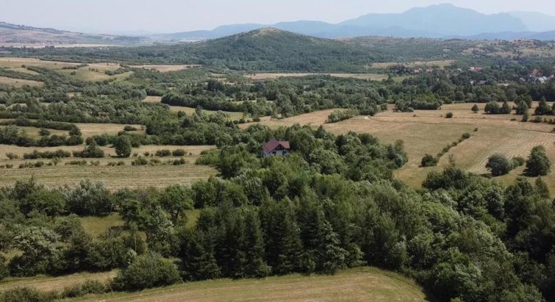 Positioning evaluation, 3,000 sqm of land, Predelut Zarnesti