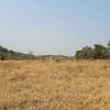 sale of four plots of land near Pirenópolis