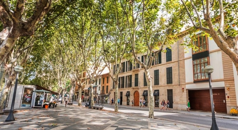 Your new city apartment. In the middle of the old town of Palma. On the Ramblas.