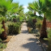 Room Inca / Binissalem - investment property / letting object, 11 bedrooms, 11 bathrooms