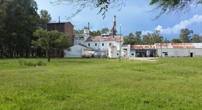 Importante fabrica láctea en Germania, Buenos Aires