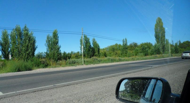 VENTA: 1/2 hectárea sobre Ruta 22