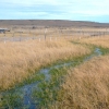 DUEÑO VENDE GRAN ESTANCIA FAMILIAR – 30000 HAS -  U$S 35/HA
