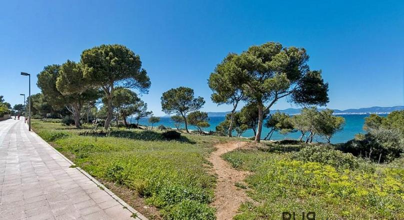 Above the roofs of the bay of Palma. A villa with lots of space, in high quality condition and view.