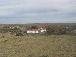 Corpen Aike - Santa Cruz - Important establishment 20000 hectares