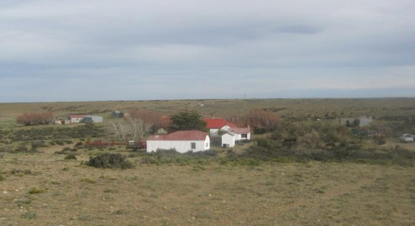 Corpen Aike - Santa Cruz - Important establishment 20000 hectares