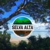Selva Alta