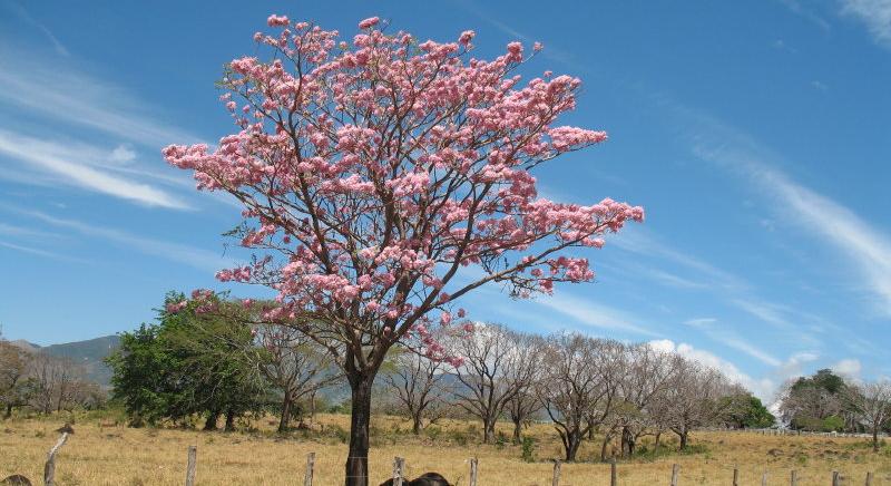 LIVESTOCK FARM FOR SALE OF 4,460 HECTARES