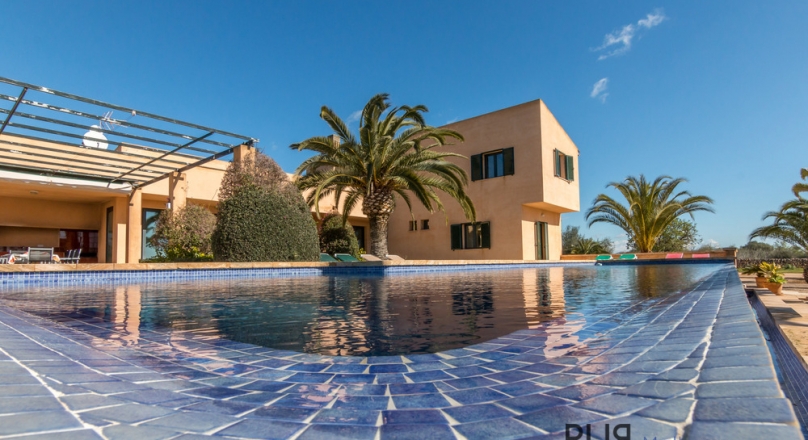 The Big Points: Modern finca. Infinity pool. Holiday rental license. Airport in 25 minutes.