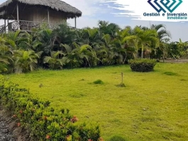 Sale of Hacienda Arrocera