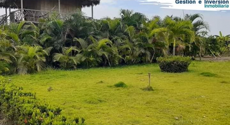 Sale of Hacienda Arrocera