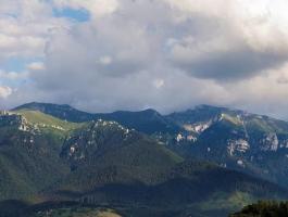 Positioning evaluation, 3,000 sqm of land, Predelut Zarnesti