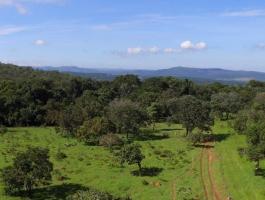Sale of a land in Pirenópolis, with 20,000 m²