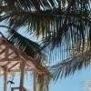 Attention Investors! Own a Residential Beach Lot now in Mariveles Bataan