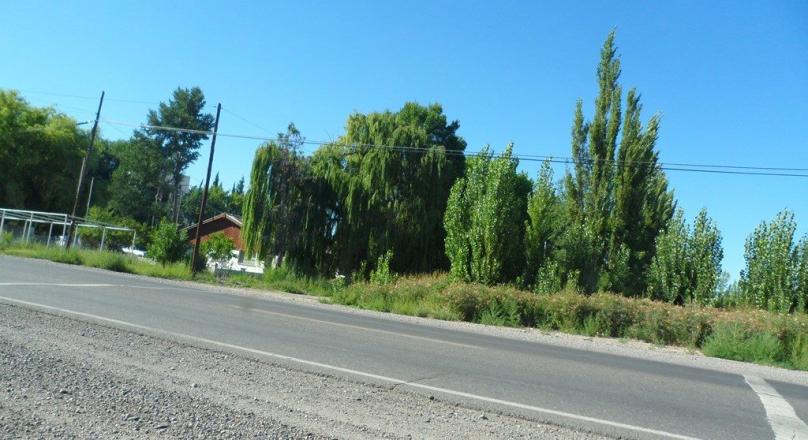 VENTA: 1/2 hectárea sobre Ruta 22