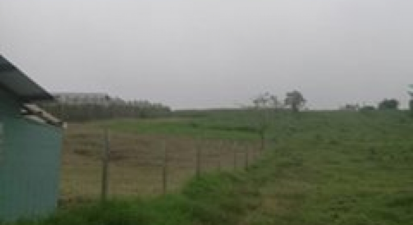 Lotes en San Jose