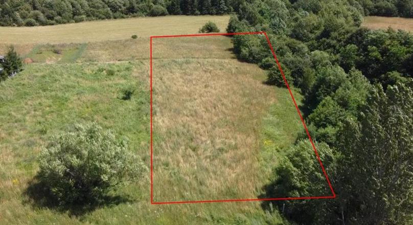 Positioning evaluation, 3,000 sqm of land, Predelut Zarnesti