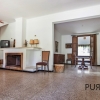 Alcudia - finca with lots of fruit trees, lots of views. She invites YOU. A price with a lot of perspective.