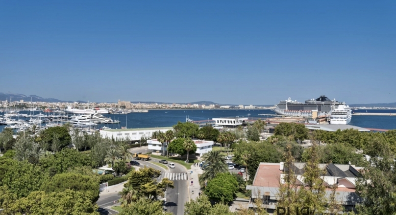 Apartment. Lounge feeling at the Paseo Maritimo. View of sea, harbor, cathedral
