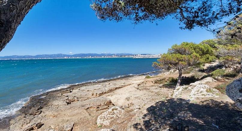 Above the roofs of the bay of Palma. A villa with lots of space, in high quality condition and view.