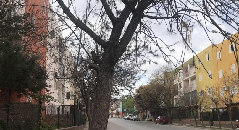 3 bedroom apartment for sale in Neuquén
