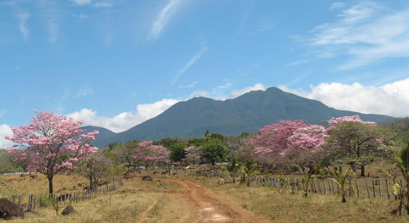LIVESTOCK FARM FOR SALE OF 4,460 HECTARES