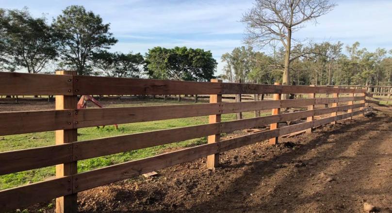 FIELD DEPARTMENT ARTIGAS cattle breeder good breeder