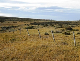Tres Cerros– Santa Cruz - 10,000 hectares